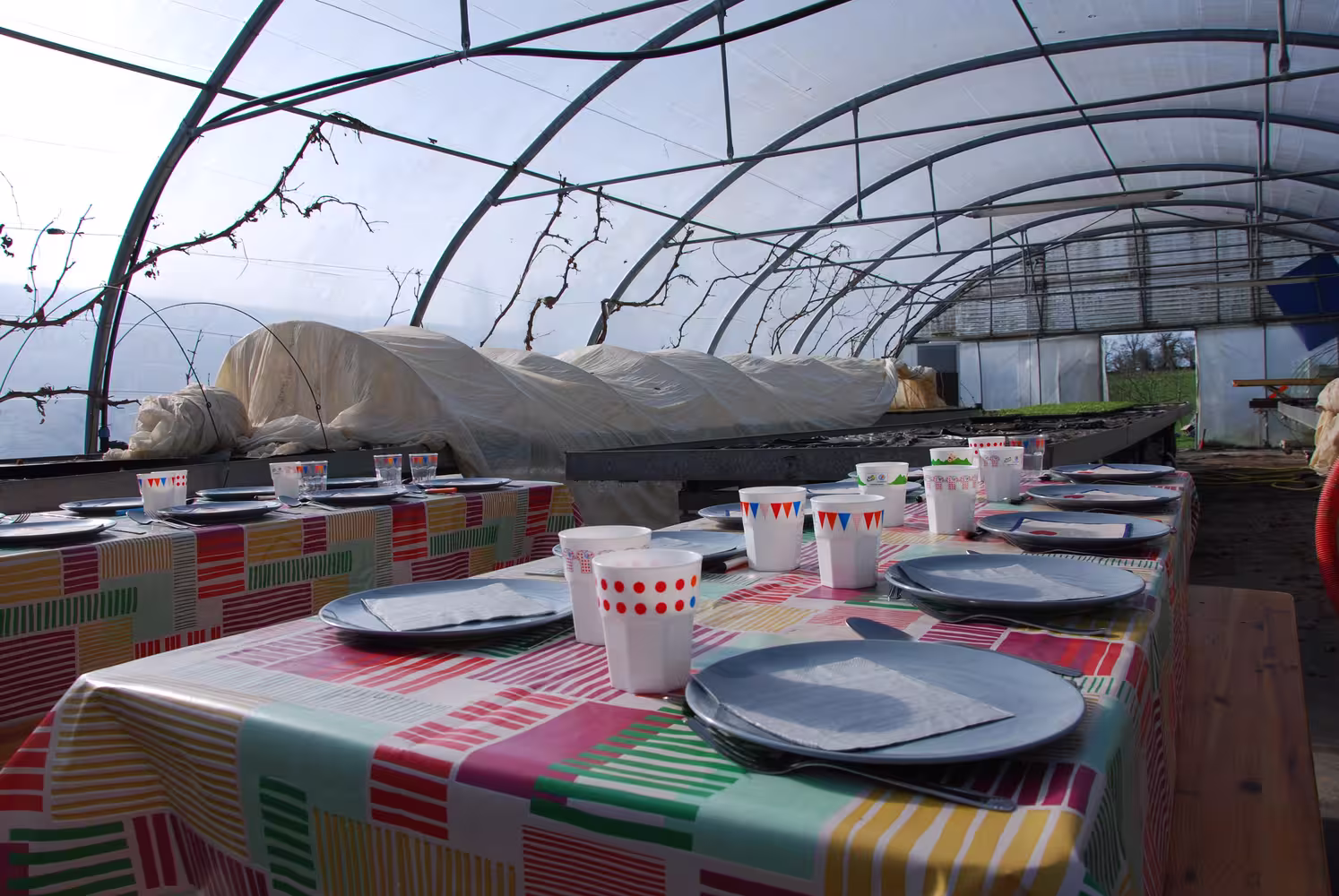 Tables dressees sous tunel dans le cadre d'un atelier de cuisine à la ferme. un partenariat crée avec le collectif 10 à Table et le Secours Populiare Français Manche àavec le soutien de la DEETS